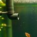 Compressor Aquarium